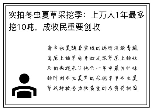 实拍冬虫夏草采挖季：上万人1年最多挖10吨，成牧民重要创收