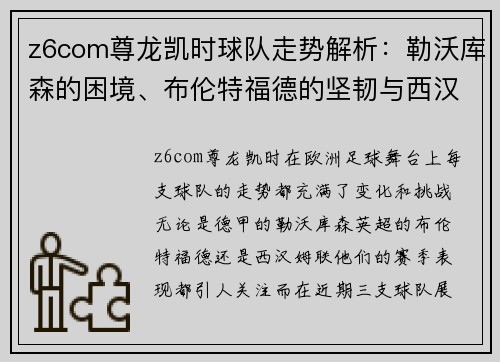 z6com尊龙凯时球队走势解析：勒沃库森的困境、布伦特福德的坚韧与西汉姆联的持续性